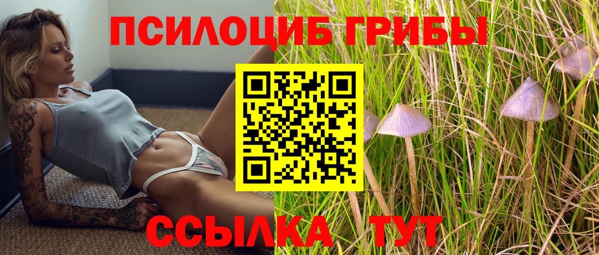 Валуйки  Галлюциногенные грибы прущие грибы  Вход с VPN  Галлюциногенные грибы GOLDEN TEACHER 