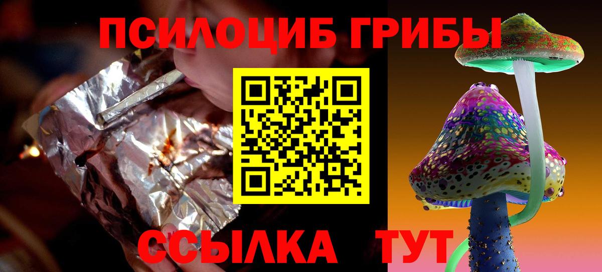 Галлюциногенные грибы Psilocybe Валуйки